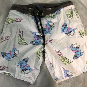 American Eagle Swim Shorts